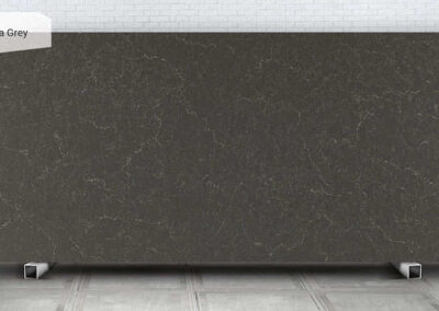 5003 Piatra Grey