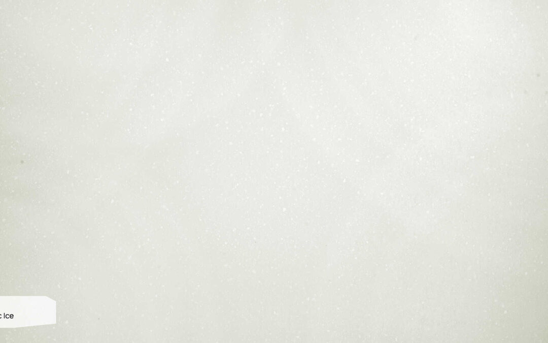 D 314 Arctic Ice