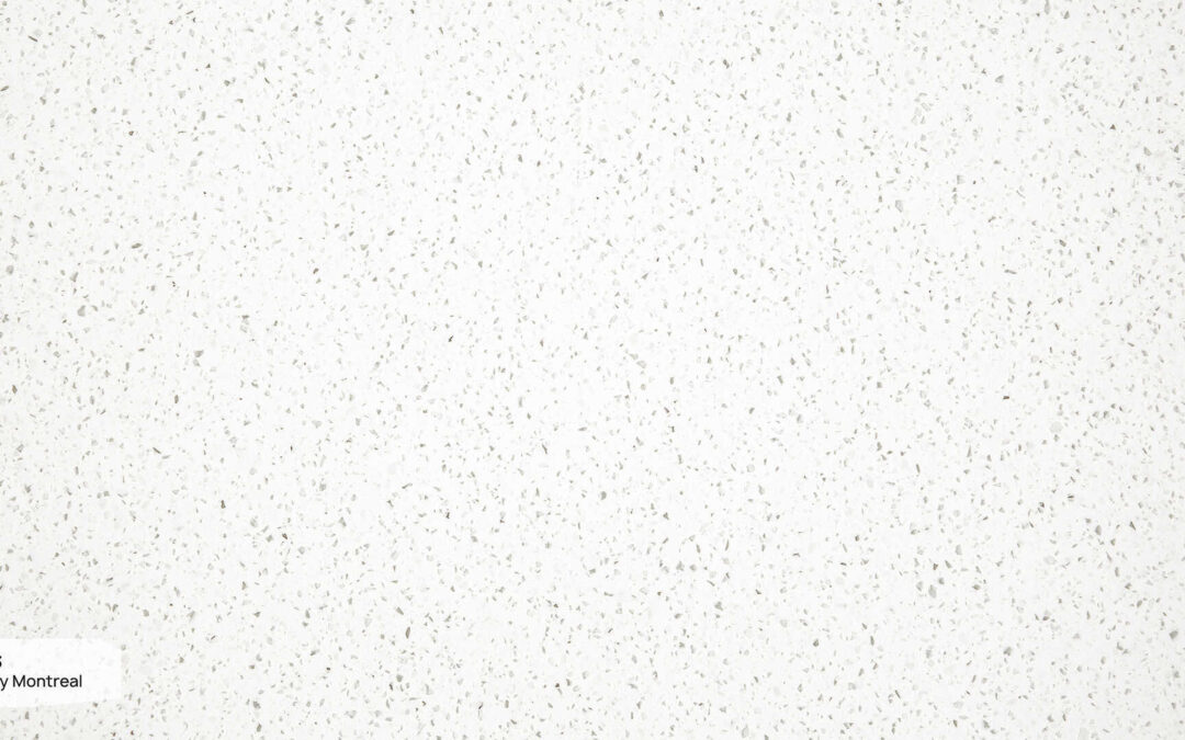 E 603 Snowy Montreal