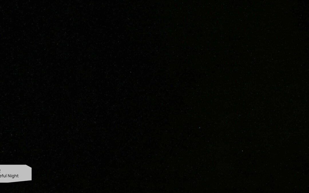 S 202 Peaceful Night