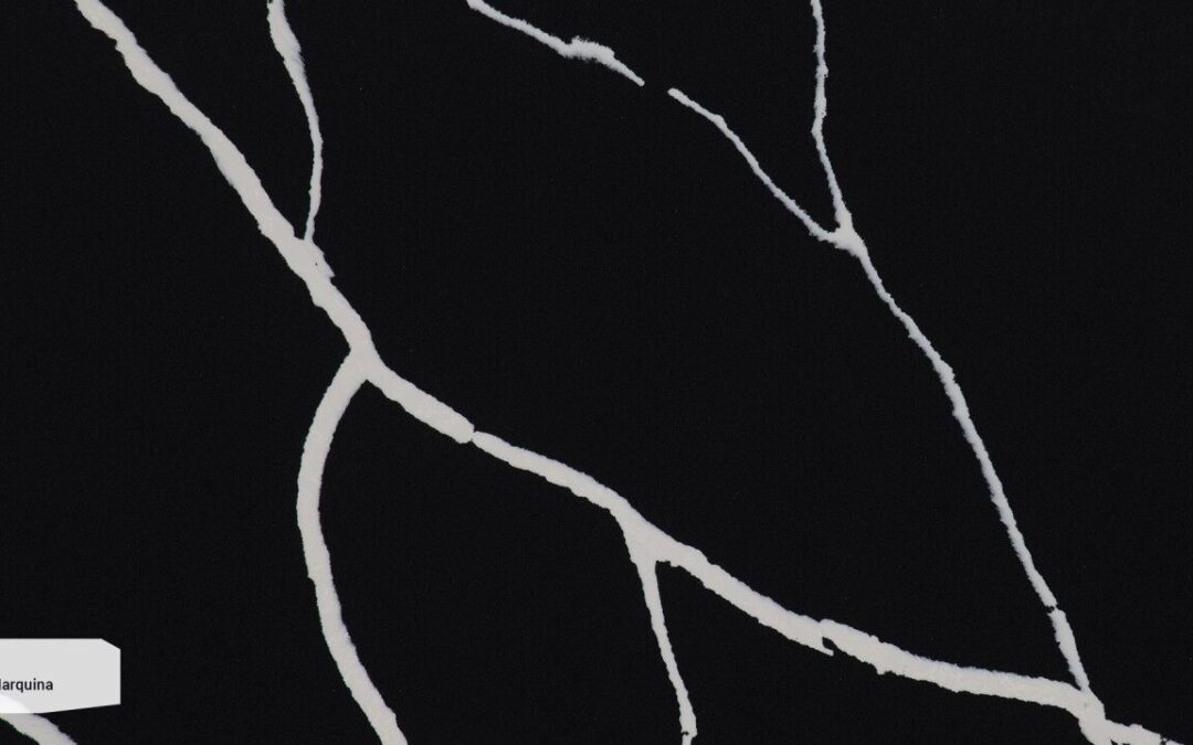 Q765 Nero Marquina