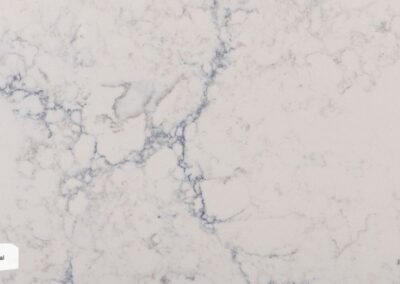 Q790 Venato Royal
