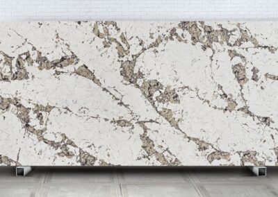 9060 Patagonia Mortinica