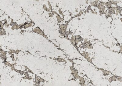 9060 Patagonia Mortinica